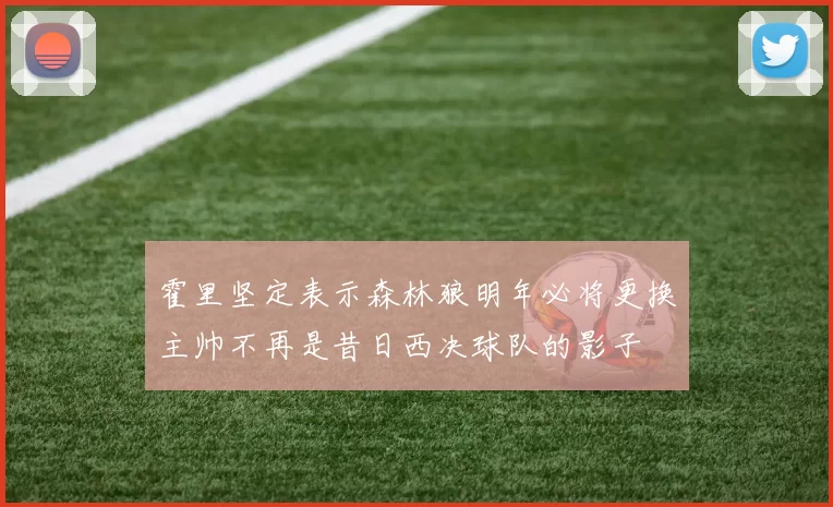 霍里坚定表示森林狼明年必将更换主帅不再是昔日西决球队的影子